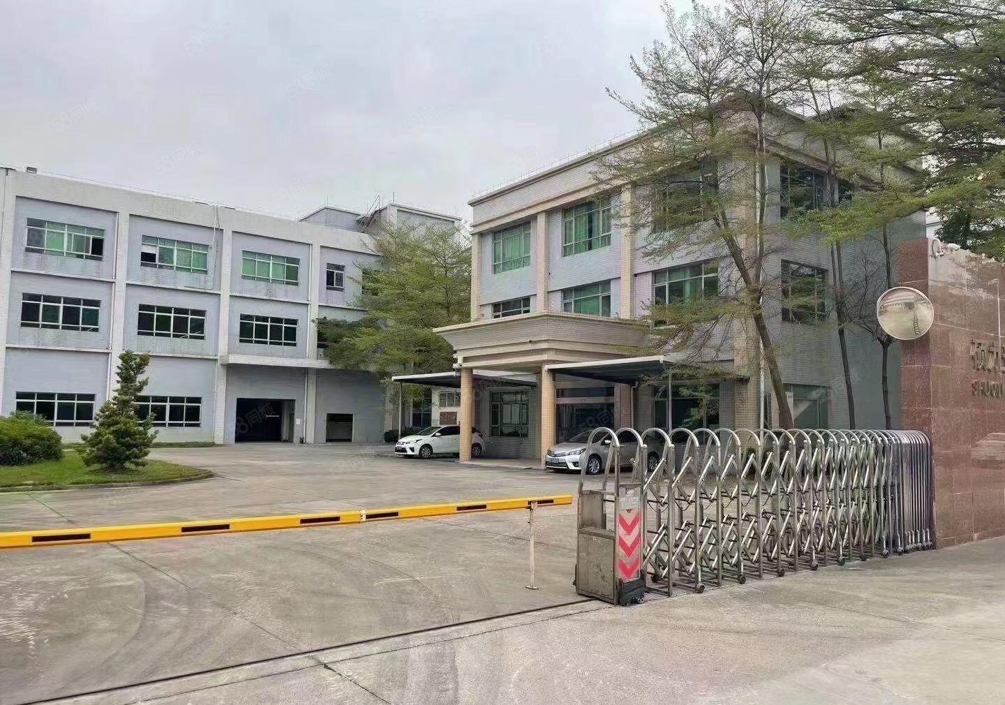 租金仅13平高埗镇冼沙独院标准厂房4300平空地大可分租