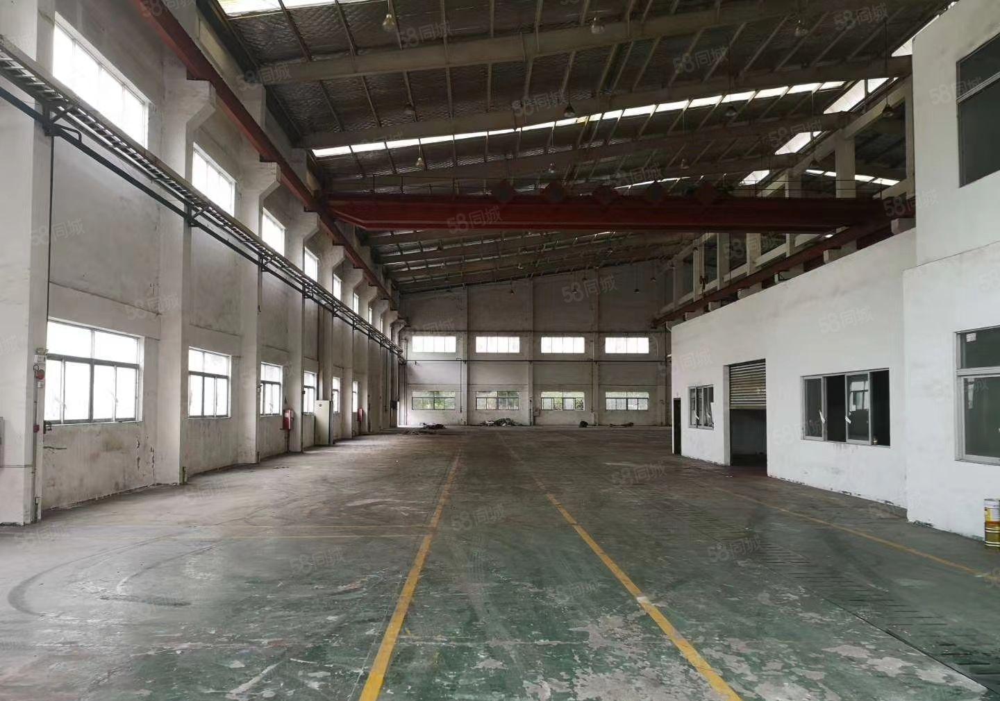 1000平方起租！高埗独院钢构厂房出租3万平方空地大可架航车