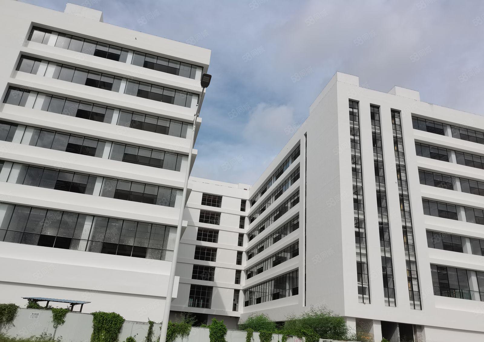 华智.万江新智汇全新厂房10000万平厂房出租(可分租）