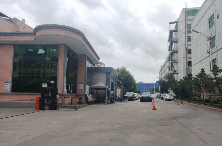 村委厂房零公摊7元低价甩租高埗万江中堂3千平一楼仓库出租可分