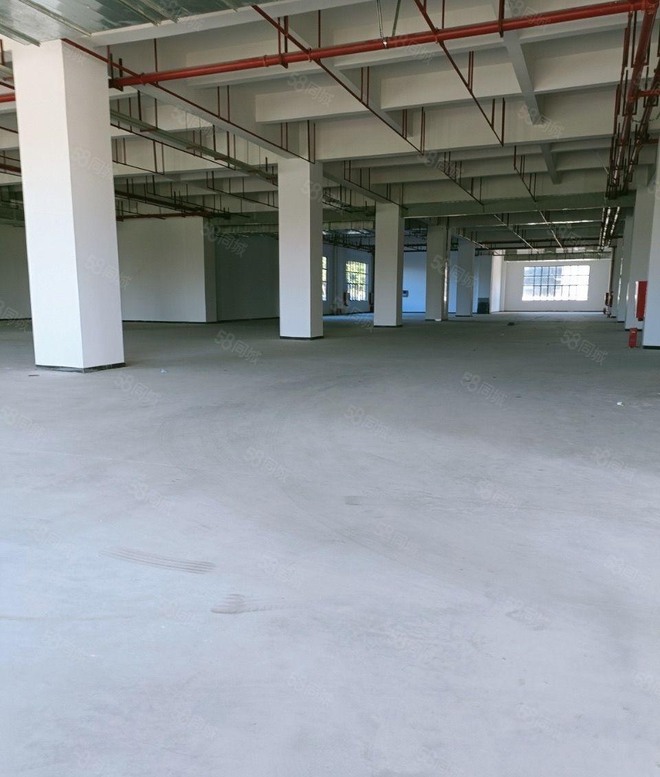 十元厂房出租200平方起租，价格优惠多多，工业区好办环评