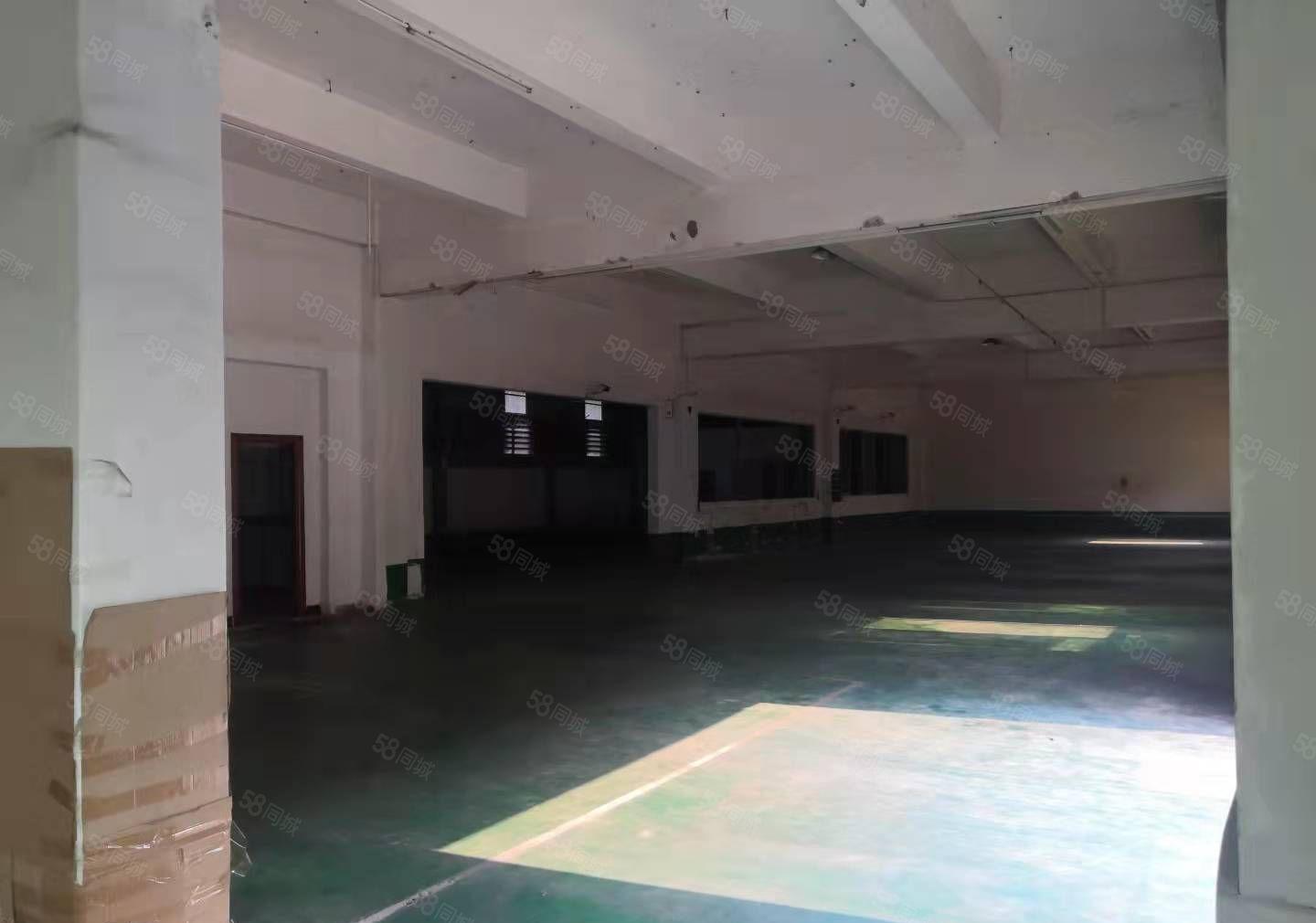 高埗新出十元一平方厂房大小可分租周围无居民可做无污染行业