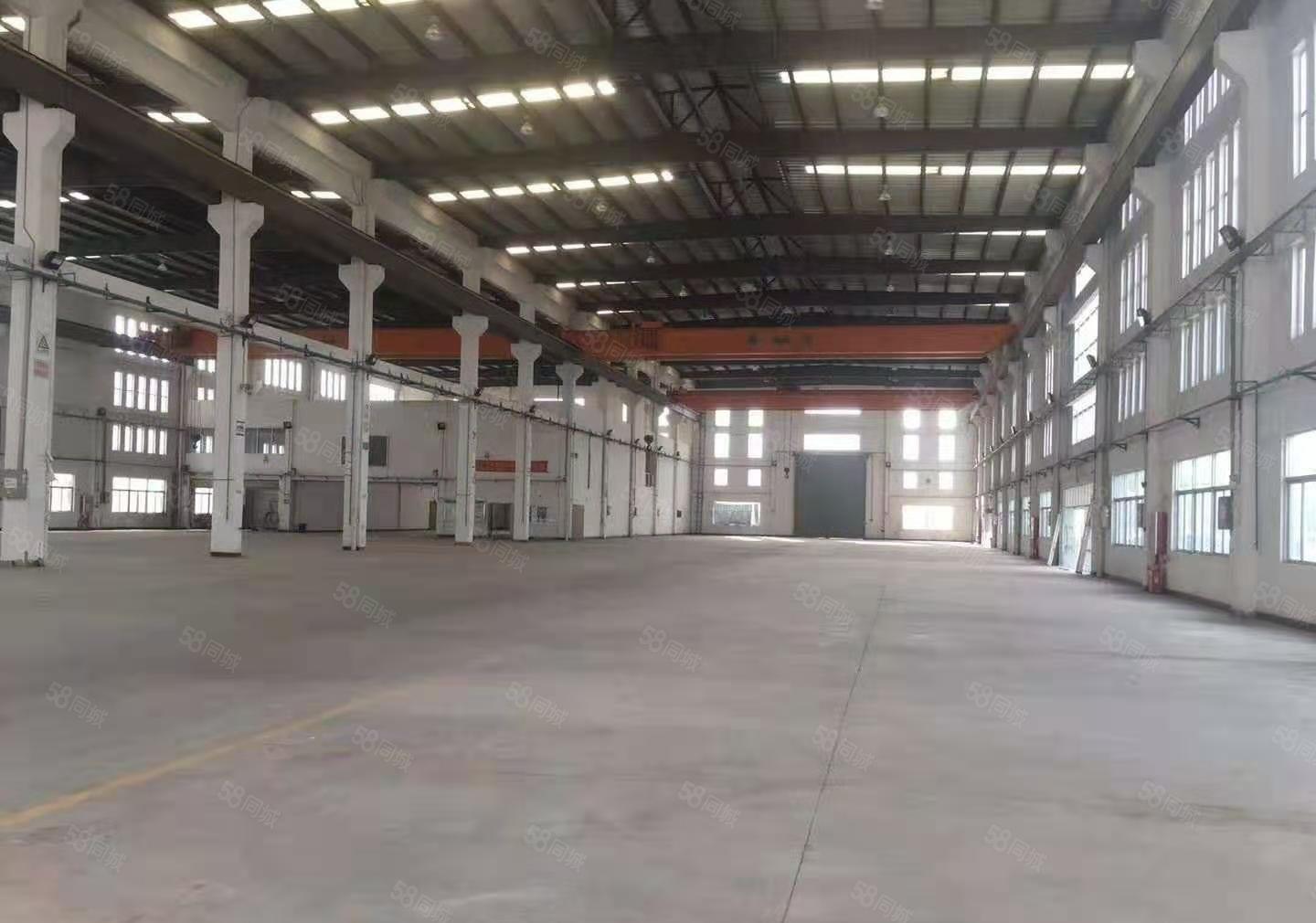 1000平方起租！高埗独院钢构厂房出租3万平方空地大可架航车