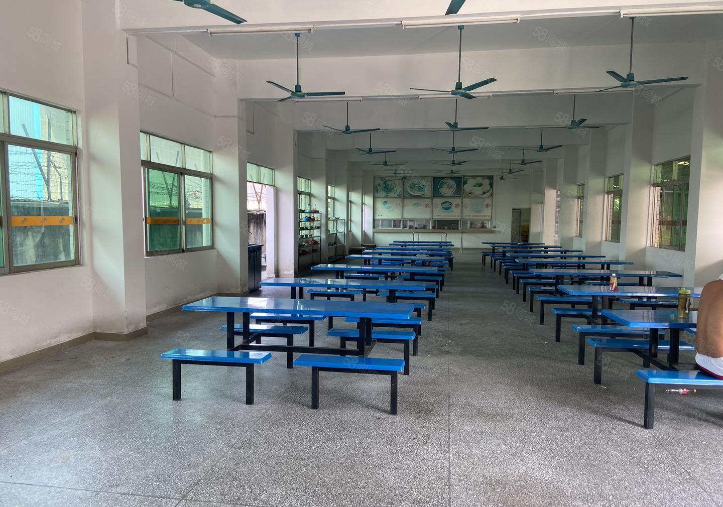 水乡片区低价花园式有食品环评漂亮独院厂房出租有超大空地