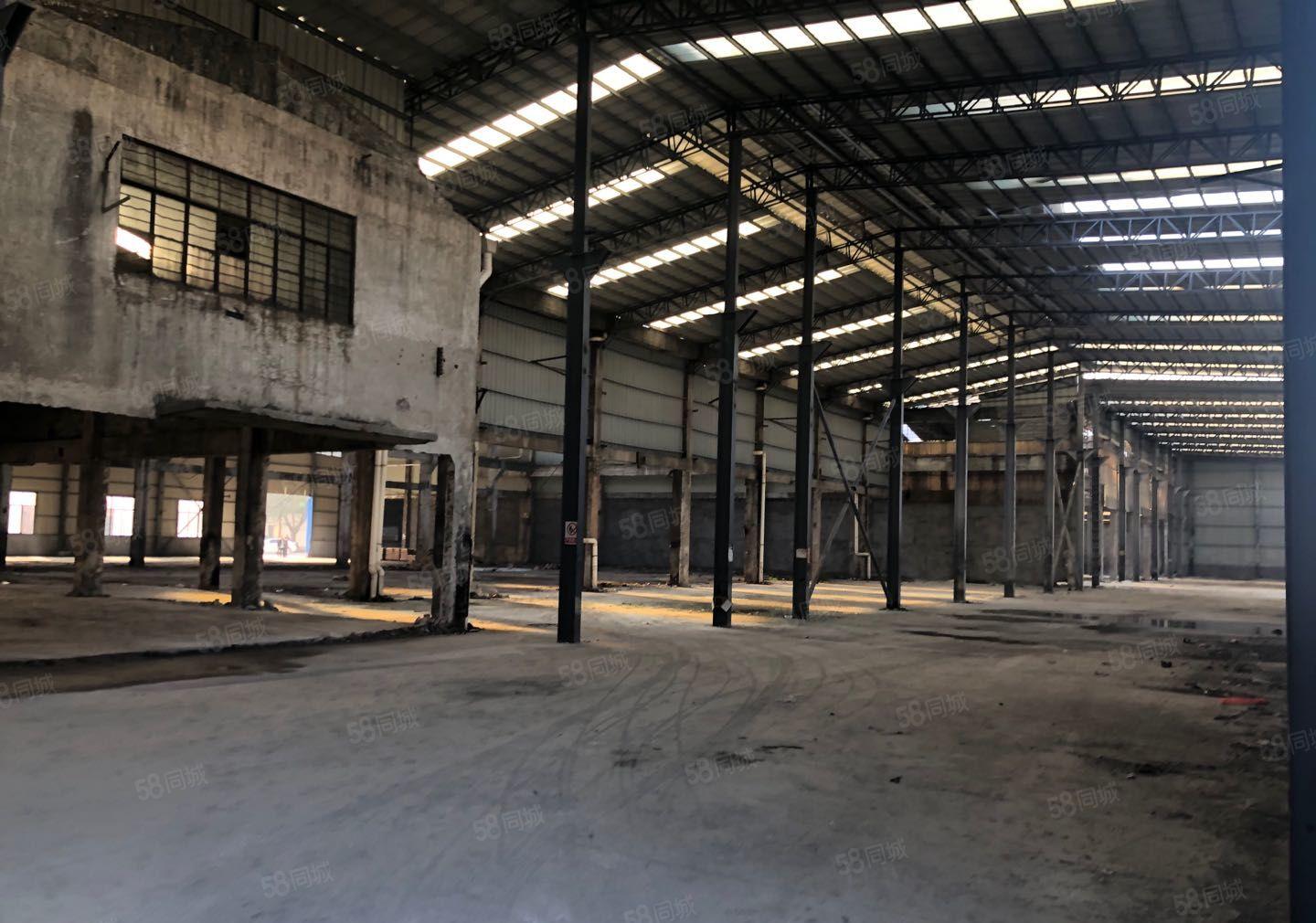 新出单一层独院全新厂房滴水13米工业用地无行业限制价格便宜