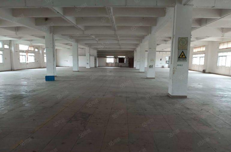 8元高埗下江城900平厂房出租，地理位置优越交通便利