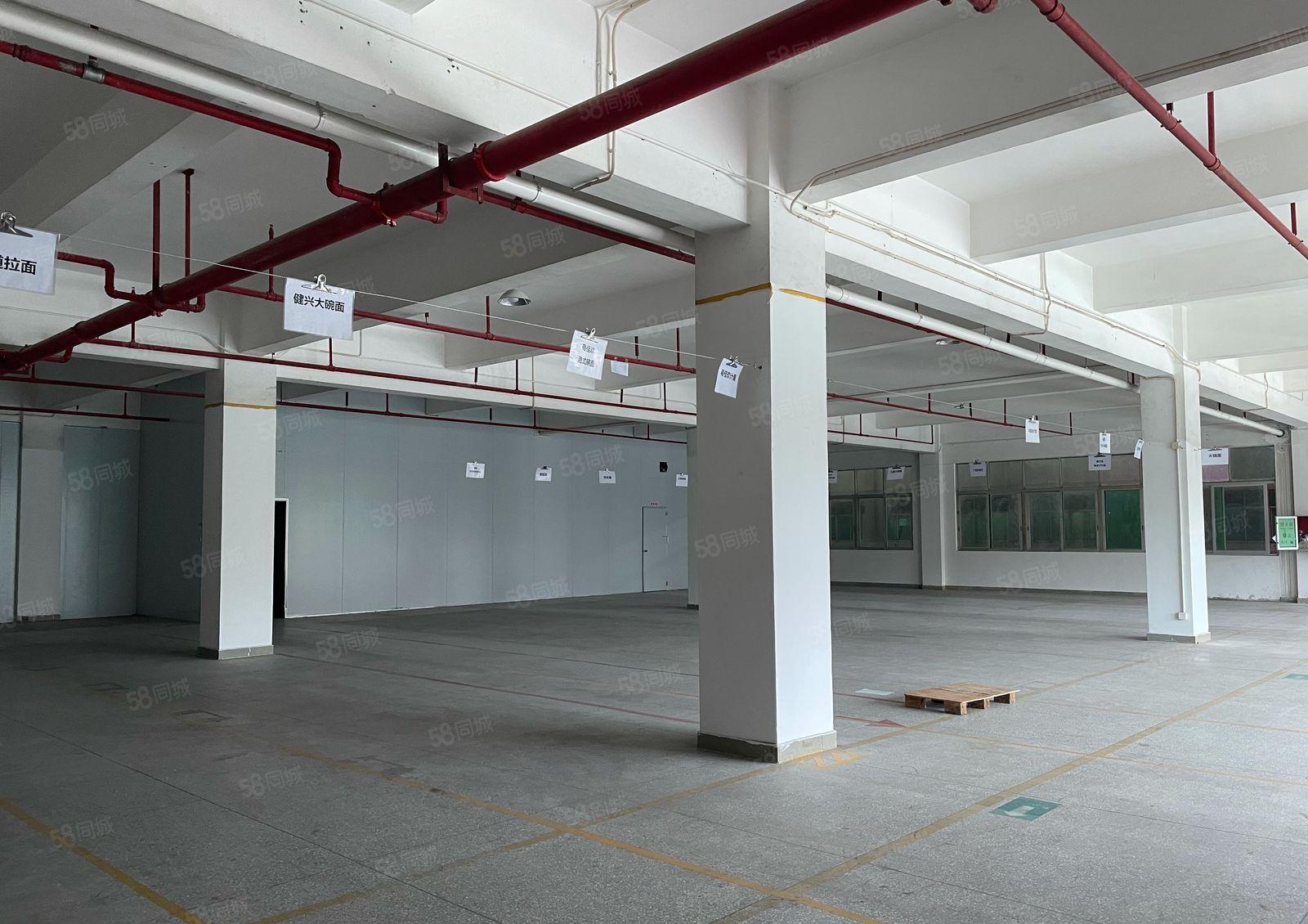 东莞高埗镇独门独院17600平空地大形象好现成食品厂房