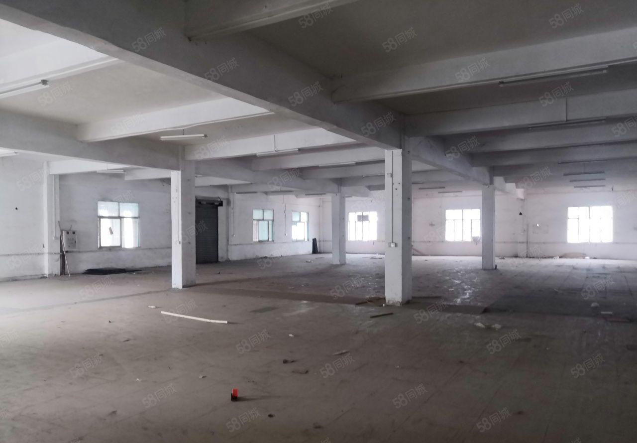 高埗新出十元一平方厂房大小可分租周围无居民可做无污染行业