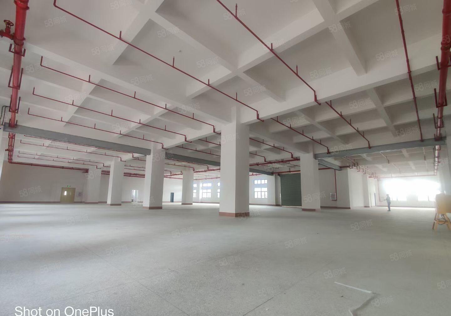 高埗镇工业园花园式独院标准厂房5000平空地5000平可分租