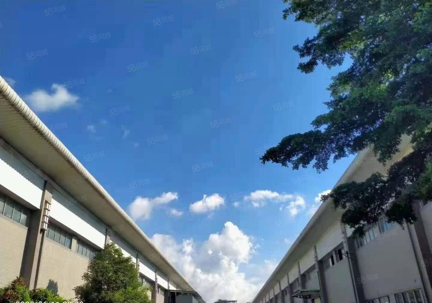 东莞高埗镇单一层钢结构厂房出租，可以办环评，可以分租