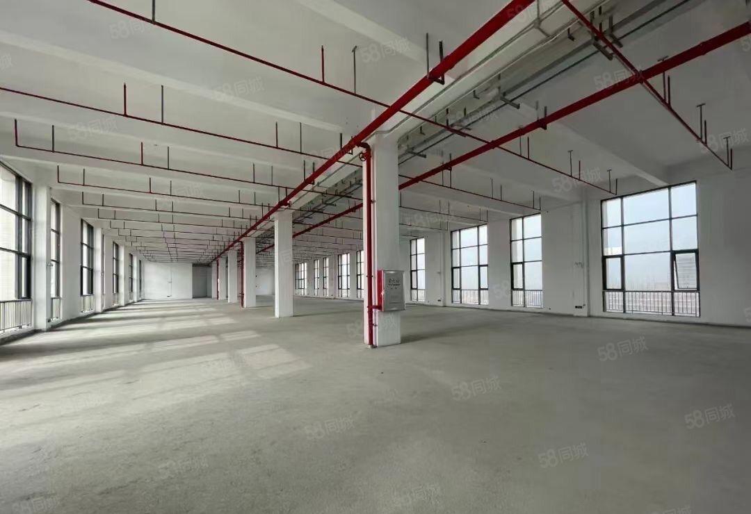 高埗镇工业园花园式独院标准厂房5000平空地5000平可分租