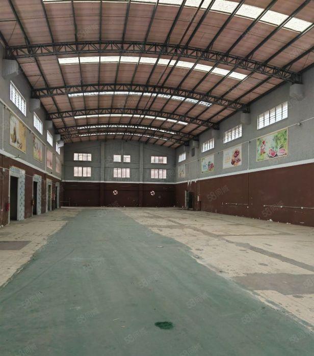 高埗欧邓独院单一层10米高1500平出租