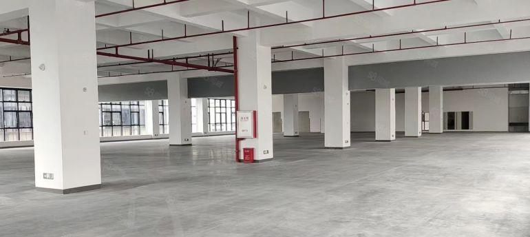 高埗镇各村厂房出租大小都有欢迎咨询低价至9.9每方年底大放送