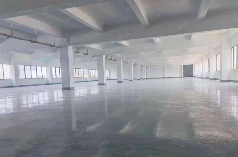 独院全新厂房超大空地8.8元出租，适合仓库电子加工等各行业