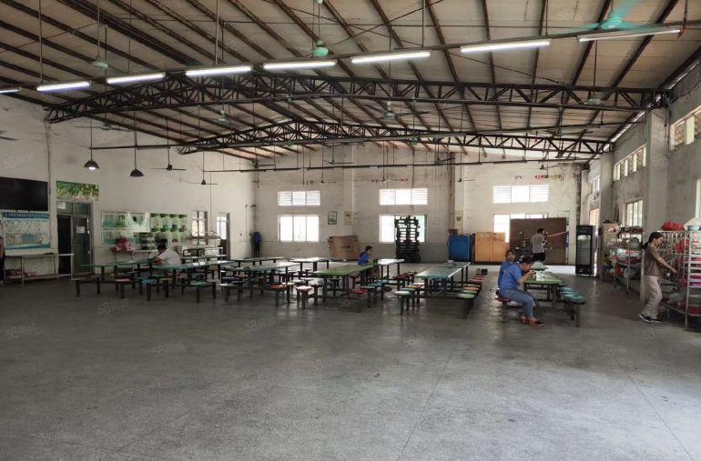 高埗草墩花园式独院，超大空地超靓厂房分租