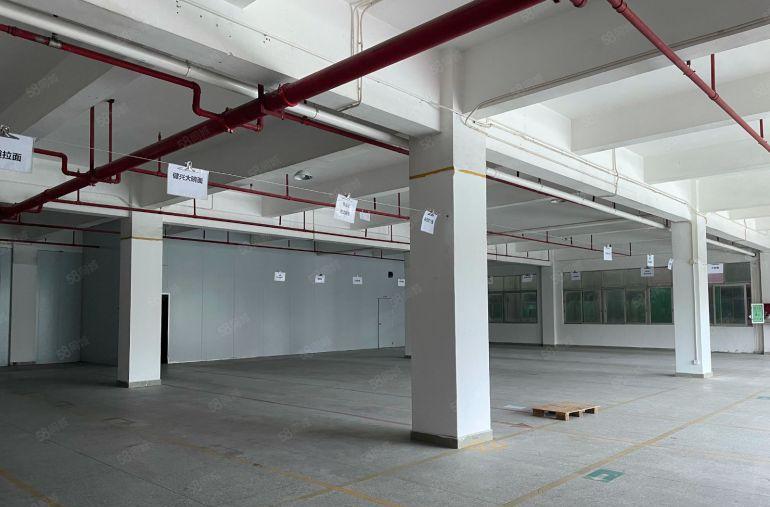 虎门原房东独门独院8600平 空地大现成食品厂房带装修