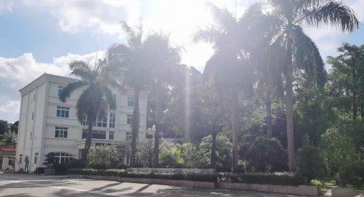 黄江花园式独院厂房，形象好全新装修，可整租可分租，空地大电量大交通便利