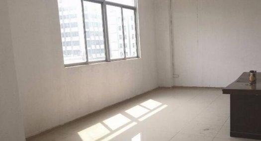 凤岗金凤凰楼上适合轻行业带装修厂房800平价格优惠