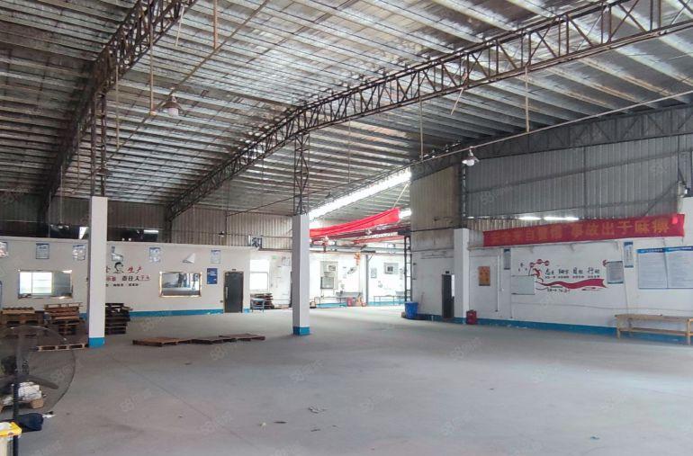 企石镇新出钢构厂房出租滴水7米正规工业用地环评秒过易招工