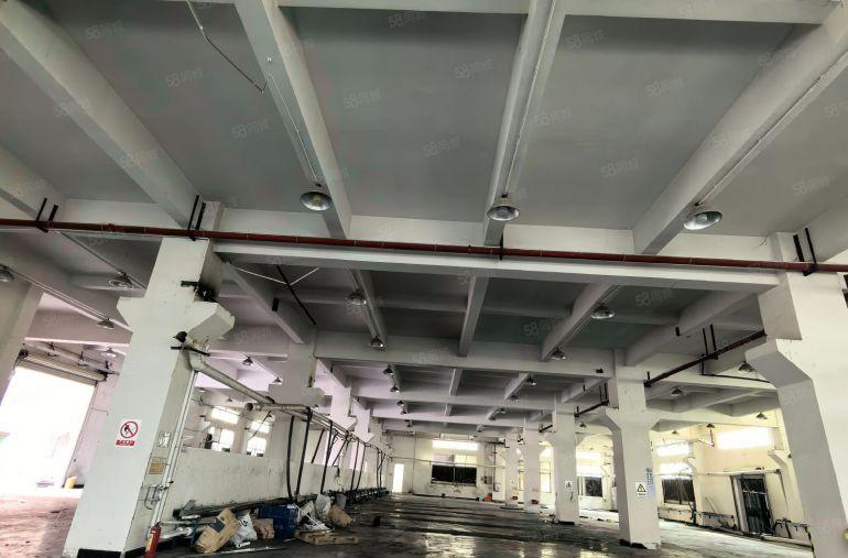 企石镇标准厂房12层3980方带牛角6米高