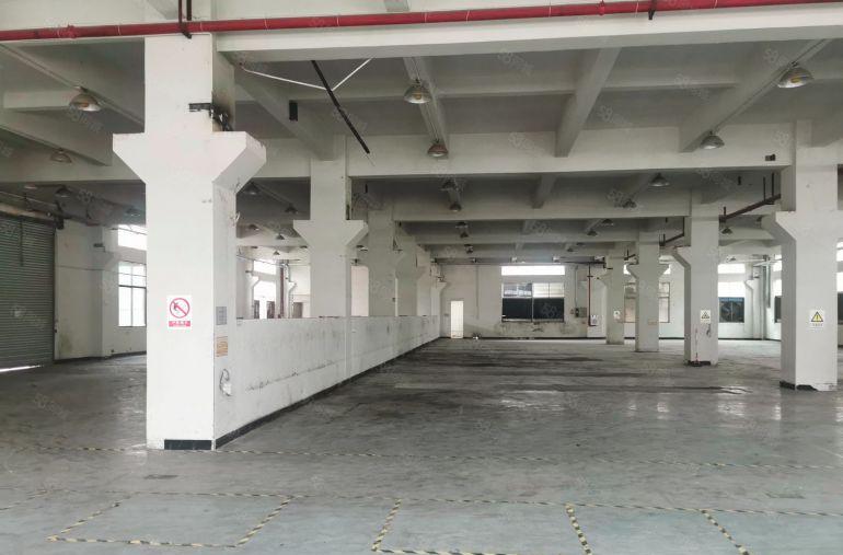 企石镇东山村标准厂房一楼带牛角位1800平米厂房出租