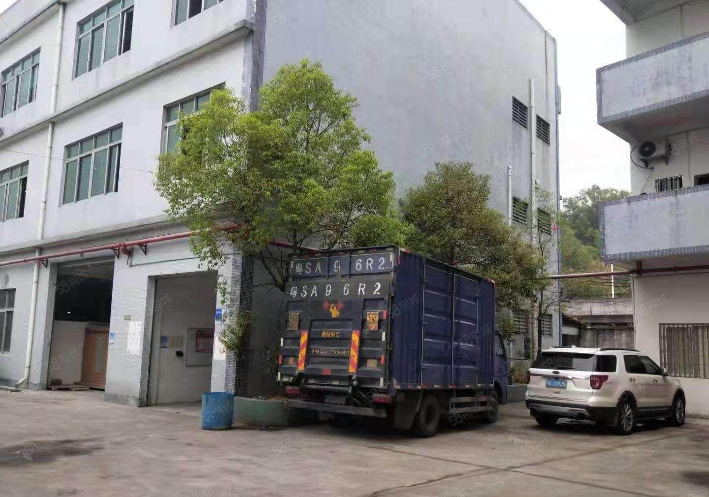 东莞企石镇原房东独院厂房3500平方，精装修，一手房东好招工