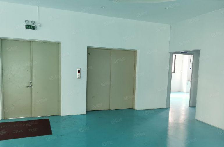 企石镇3楼带豪华装修厂房1480平米出租不用转让费入住生产