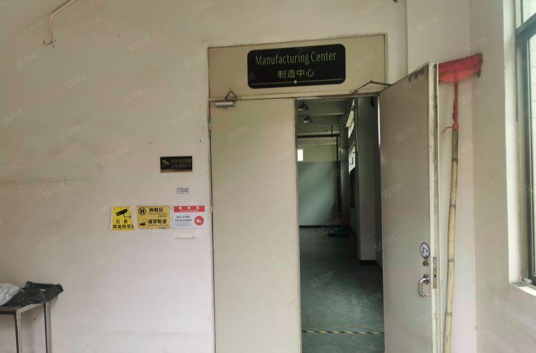 企石镇东山村标准厂房一楼带牛角位1800平米厂房出租