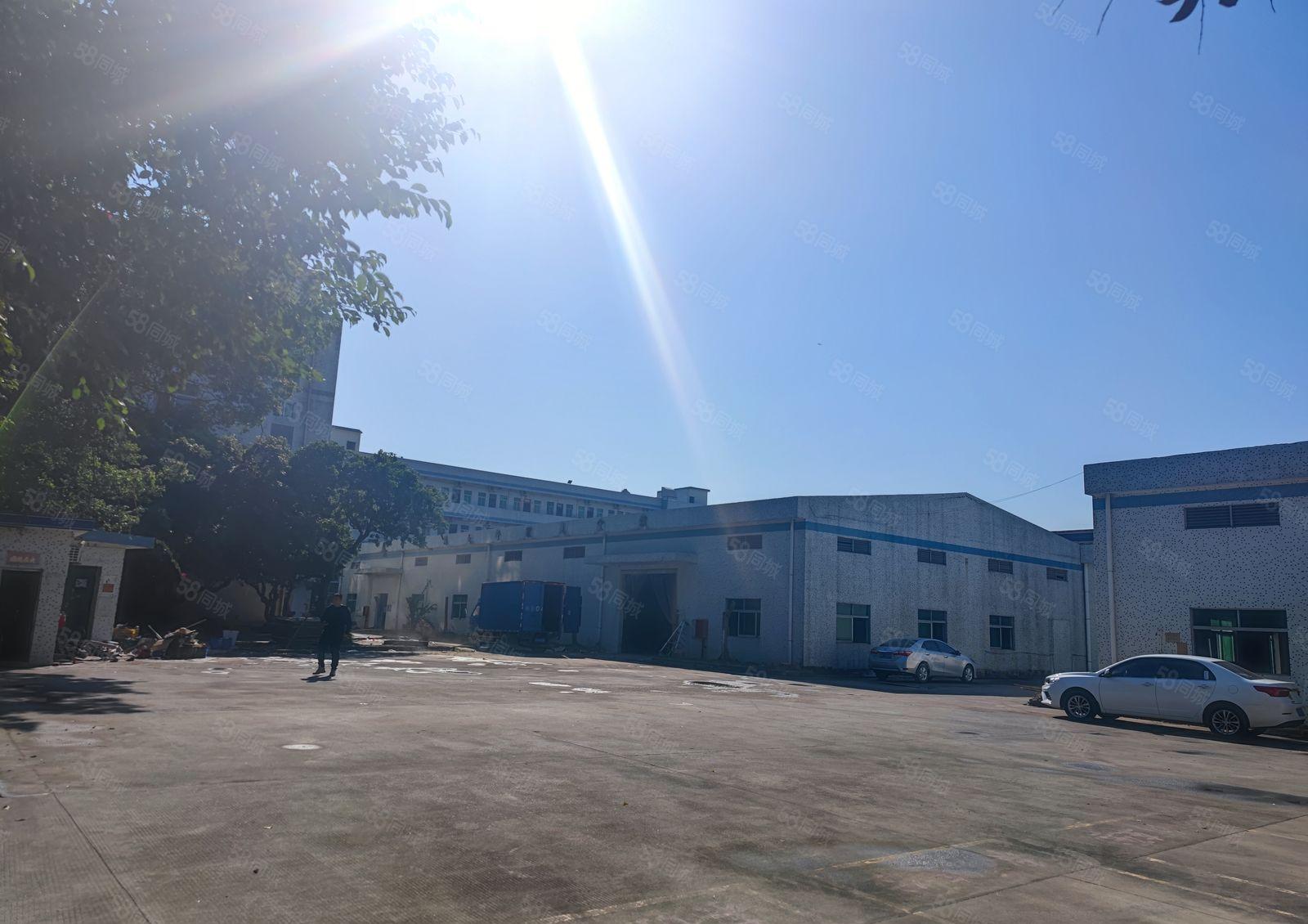 企石镇新出独院7米钢构实际面积21000出租红本厂房可租十年