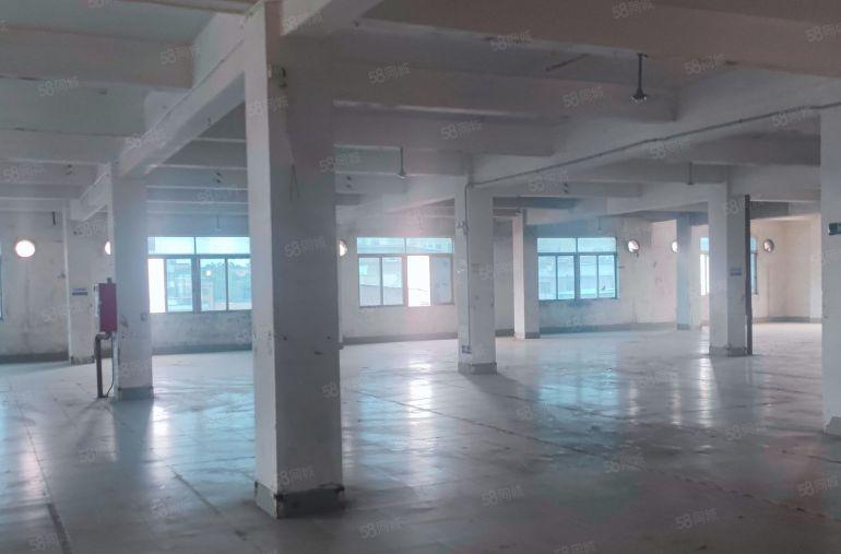 原房东实际面积厂房出租1200平方现成装修镇中心位置方便招工