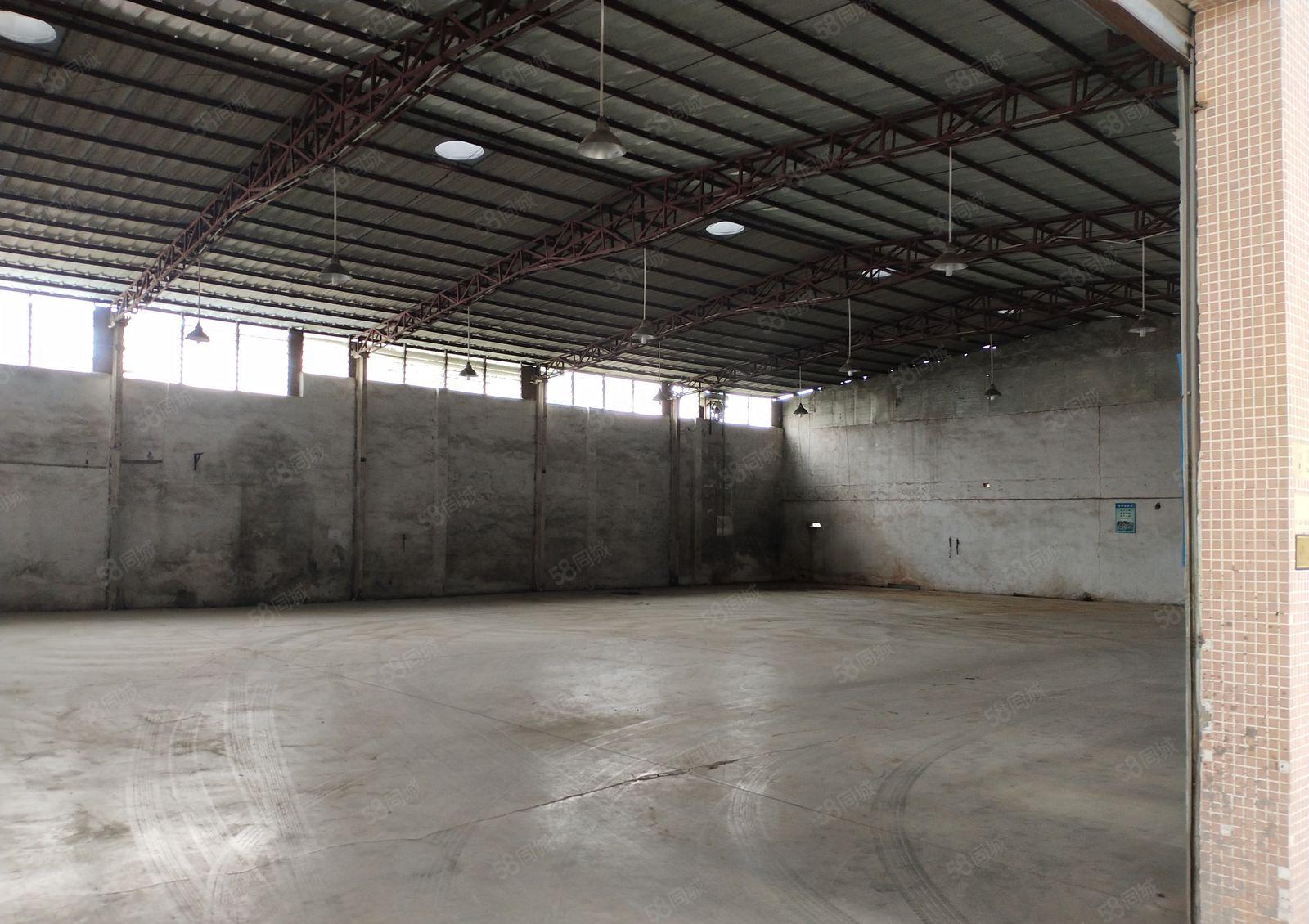 企石镇新空出砖墙到顶单一层钢结构厂房3600平方，交通便利