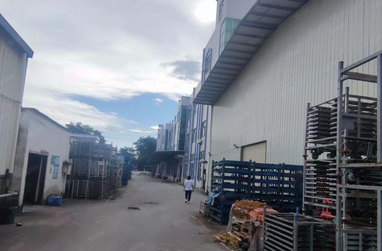 企石新出原房东实际面积厂房出租独门独院16000平方空地超大