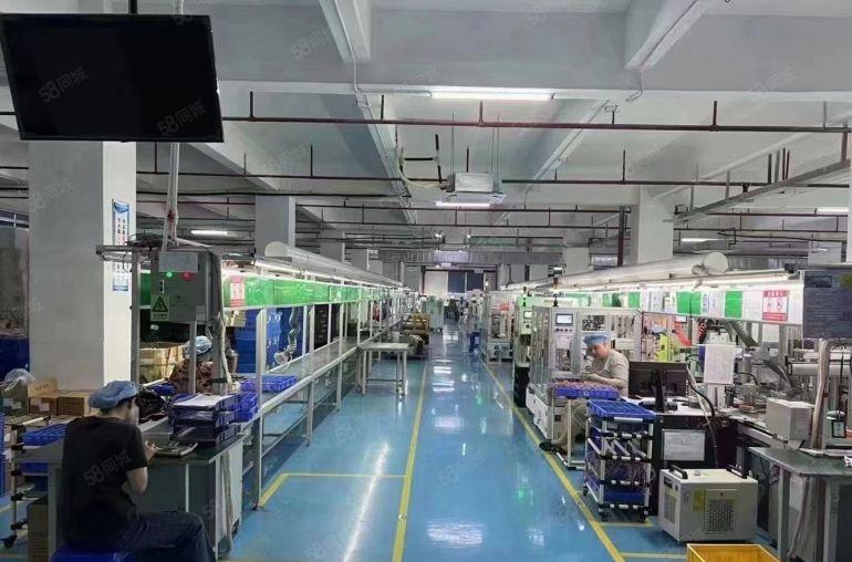 8元出租企石原房东独院1到3楼各1050平米可分租主干道边