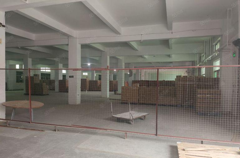 企石镇东山村原房东低价出租一楼实际面积2000方空地超大