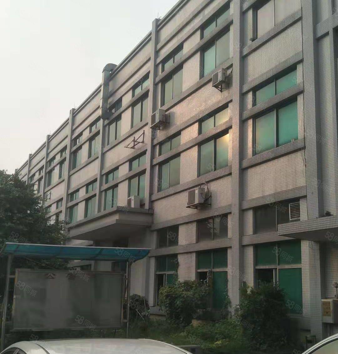 企石镇新出原房东超靓标准厂房实量面积5500平，超大空地