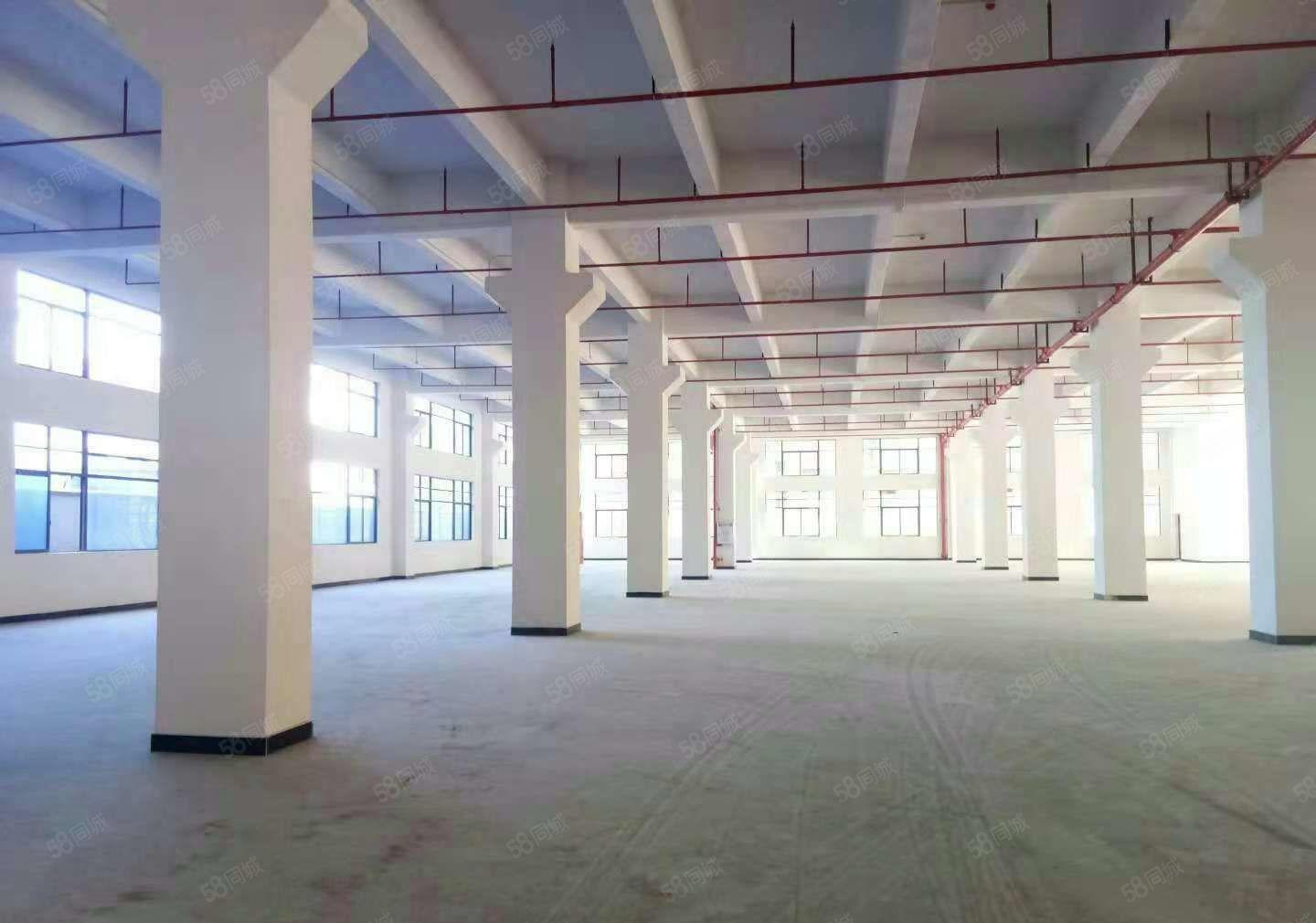 东莞企石镇东部快速附近独院标准厂房单层4000平可分1000