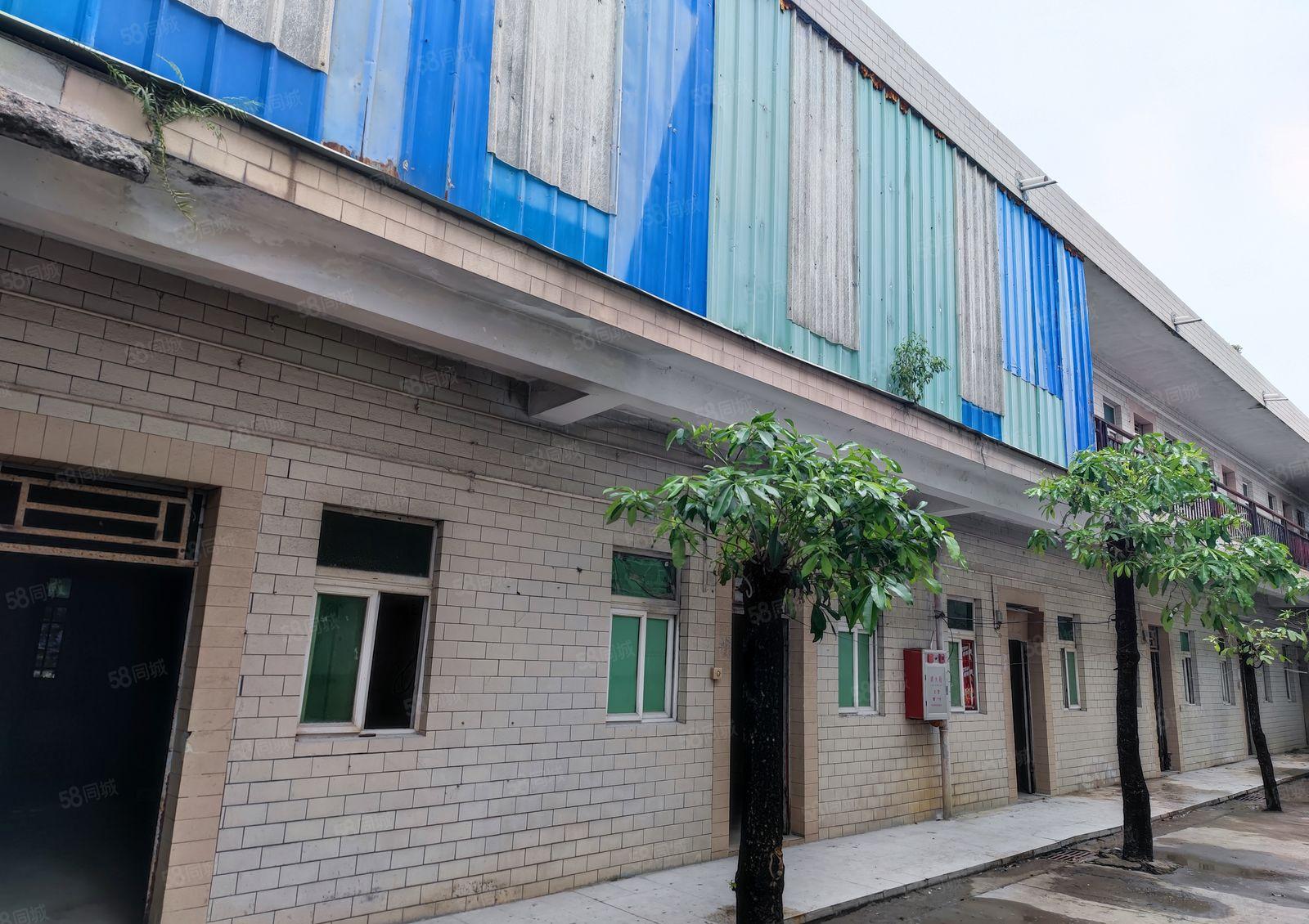 企石莫屋新出独门独院钢构1700平滴水8米单价18元配套齐全