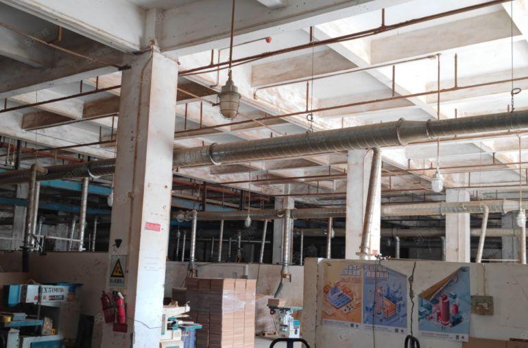 企石原房东高大上独院18含税14800平方6米高标准钢构厂房