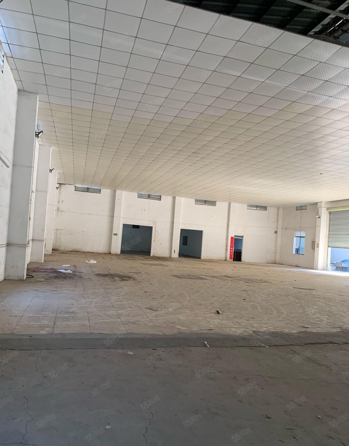 企石东部快线旁新空出单一层钢构厂房1100平米