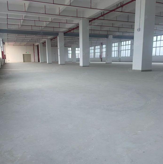 企石镇原房东独门独院标准厂房，空地超大，有办公楼宿舍，形象好