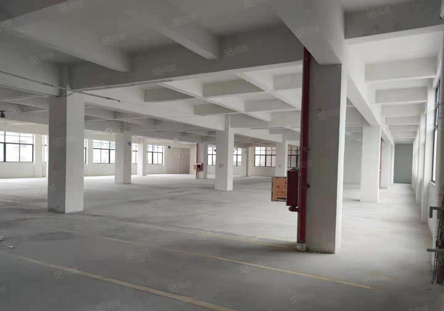 东莞企石东山永盛工业区楼上1500平米带精装修厂房低价出租