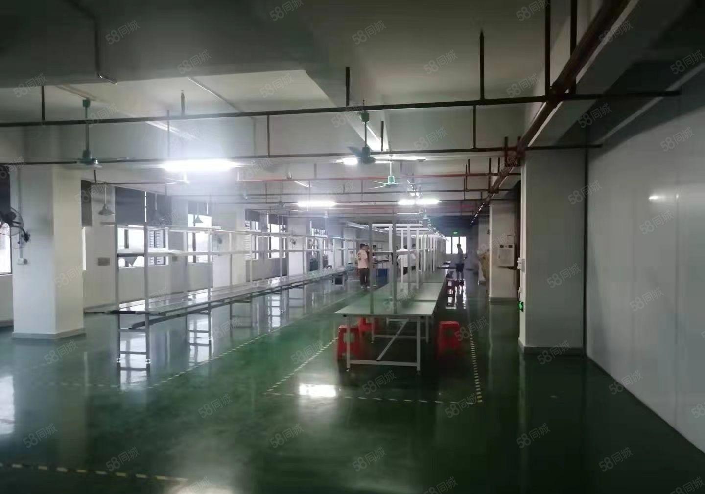 东莞企石镇原房东独院厂房3500平方，精装修，一手房东好招工