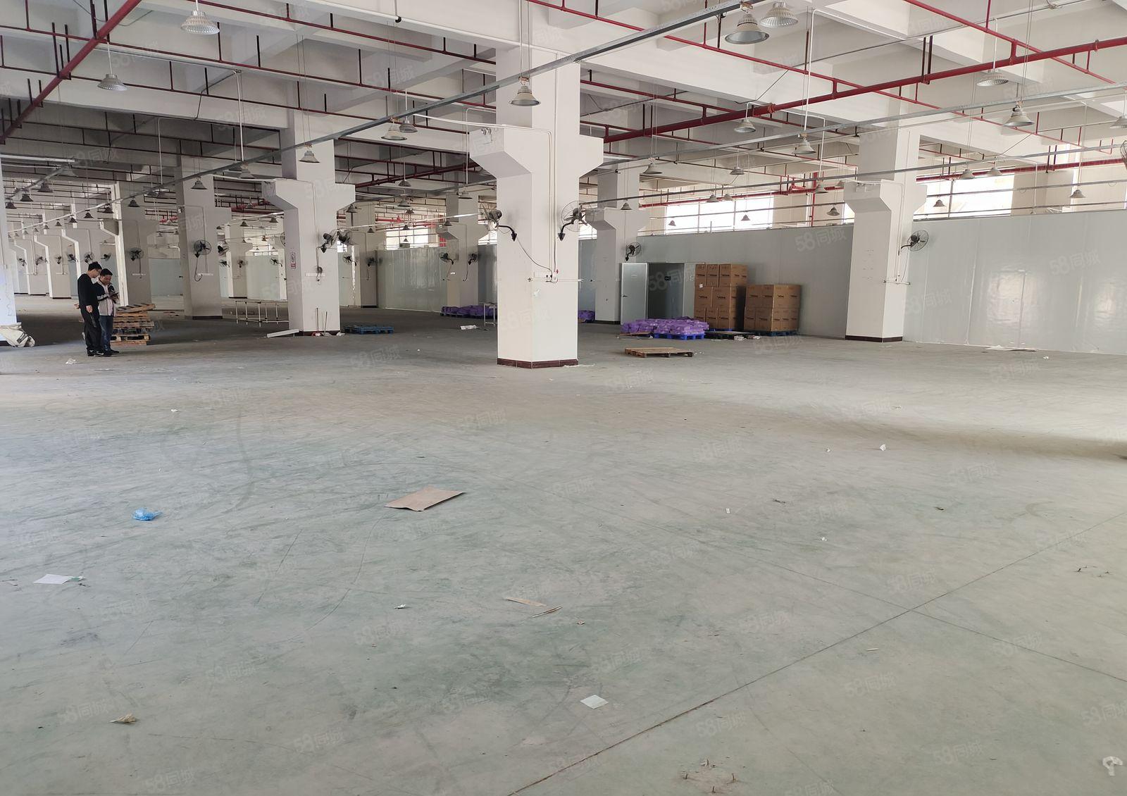 东莞企石镇原房东一楼4000平米厂房出租，6.5米高带牛角