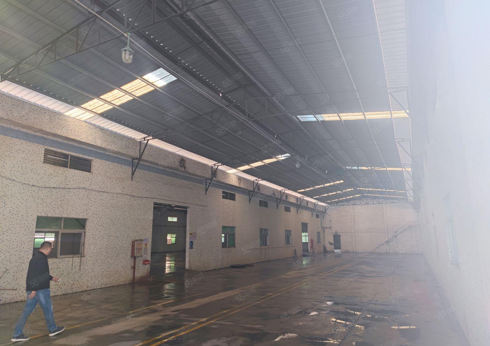 企石镇新出独院7米钢构实际面积21000出租红本厂房可租十年