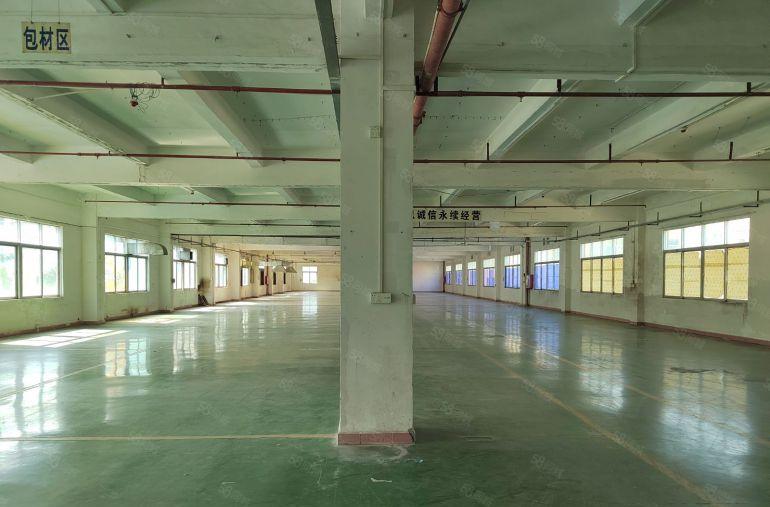 企石镇 主路边新出原房东标准独院6600平低价出租 带装修