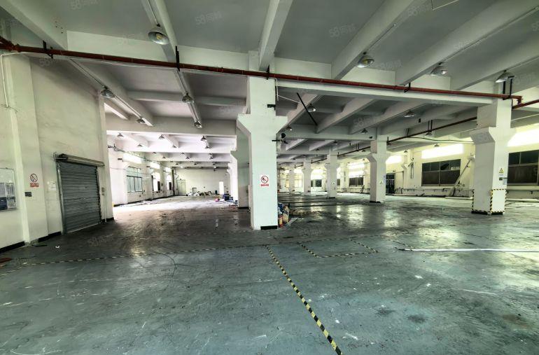 企石镇标准厂房12层3980方带牛角6米高