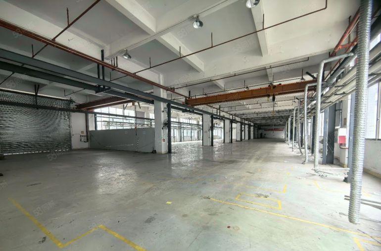 企石镇新出原房东独门独院标准厂房。13500平方。