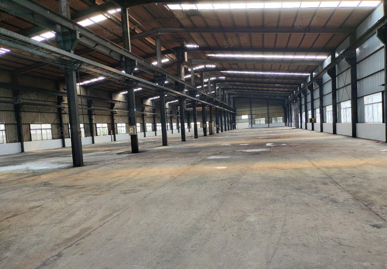 企石镇新出滴水9米独院钢构厂房8000平米