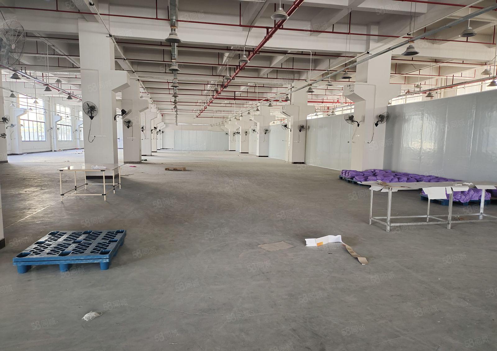 东莞企石镇原房东一楼4000平米厂房出租，6.5米高带牛角