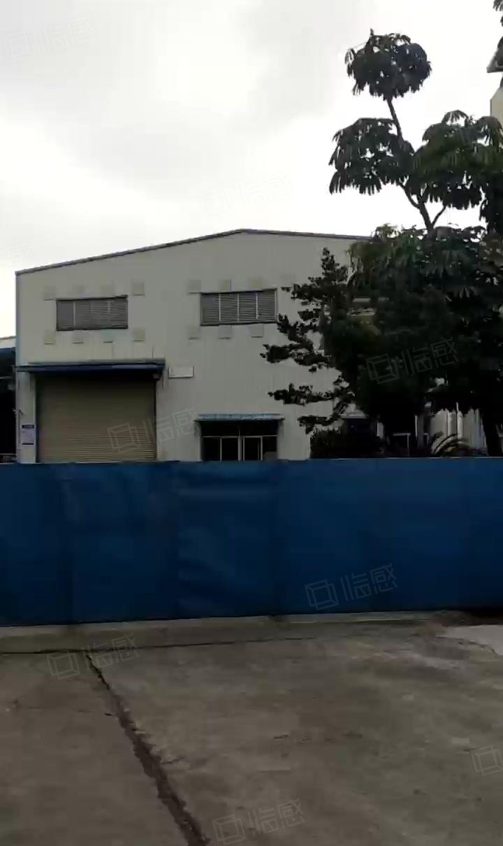 企石镇原房东独院钢构厂房5300平方，滴水10米，行车8部。